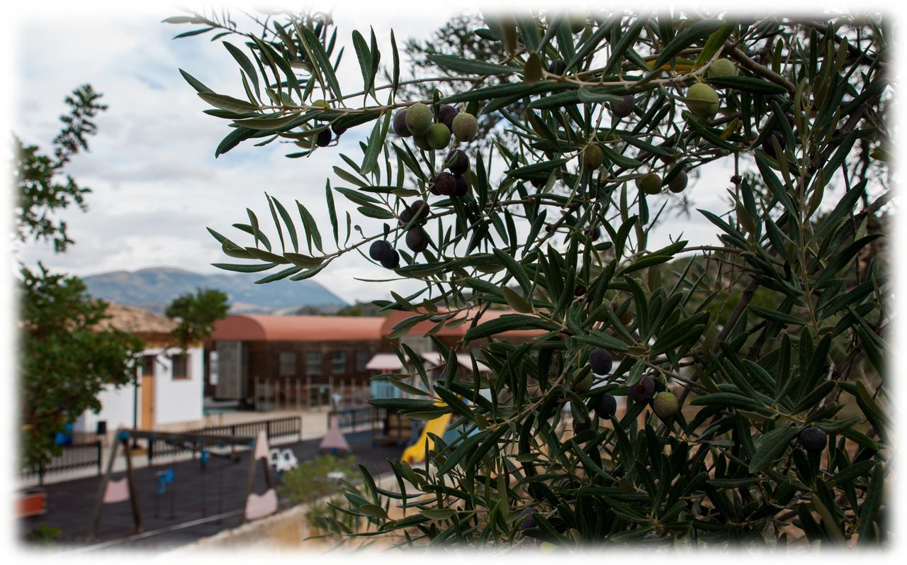 Hostal- Restaurante Estacion Via Verde Olvera Zewnętrze zdjęcie